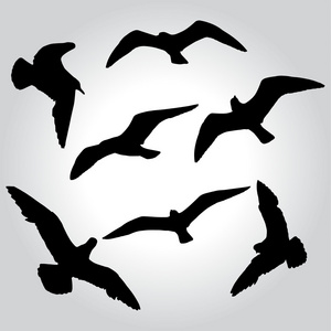 海鸥符号图片-海鸥符号素材-海鸥符号插画-摄图新视界