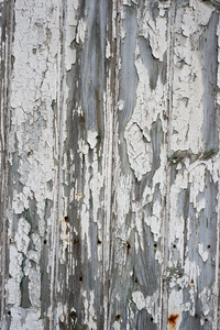 老化与白色油漆脱落处木制表面