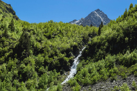 山淡水绿森林的美丽自然景观