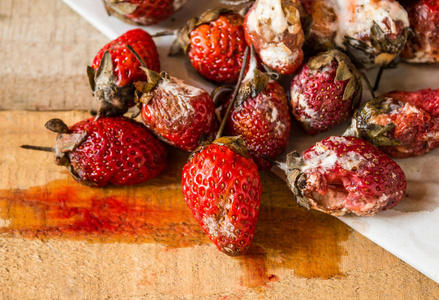 腐烂的水果图片