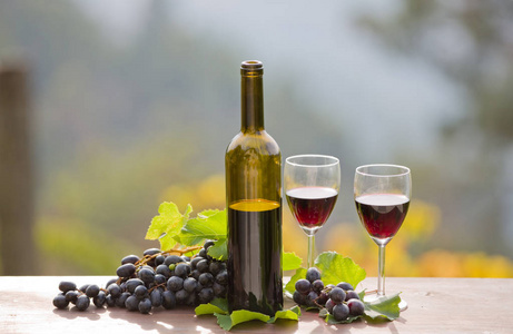 葡萄酒瓶和葡萄户外木制的桌子上