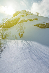 冬天大雪登上在太阳的光线