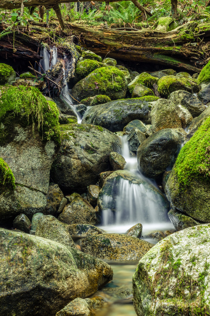 在森林里的小溪上瀑布