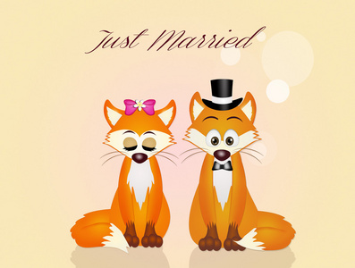红狐狸的婚礼图片