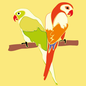 对热带鸟彩色鹦鹉