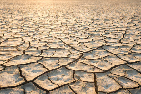 干燥开裂的龟裂的土地照片