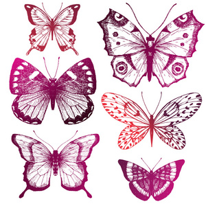 手工绘制的蝴蝶
