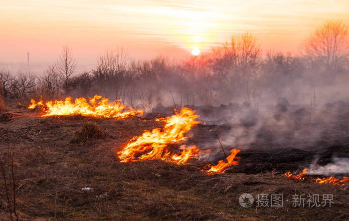 在炎热的夏日田野上的干草正在燃烧燃烧