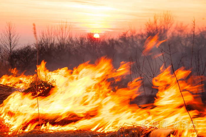 在炎热的夏日田野上的干草正在燃烧干草烧场