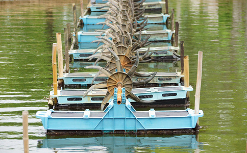 鱼塘中的一排水轮机照片