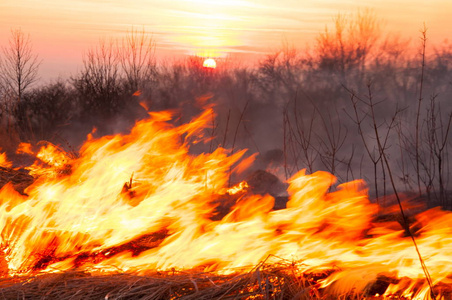 在炎热的夏日, 田野上的干草正在燃烧。燃烧