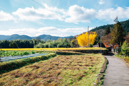 日本京都奥哈拉乡村自然景观