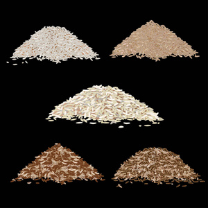 类型的水稻谷粒图片