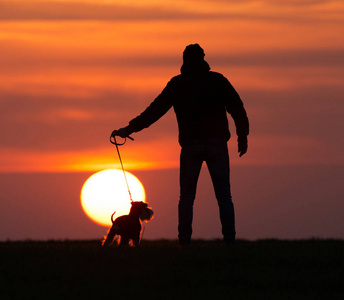 一人一狗看夕阳的图片图片
