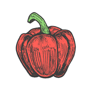 手绘矢量插画的红辣椒的素描样式。嘟嘟蔬菜