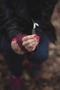 女性手捧白色雪莲花在森林里