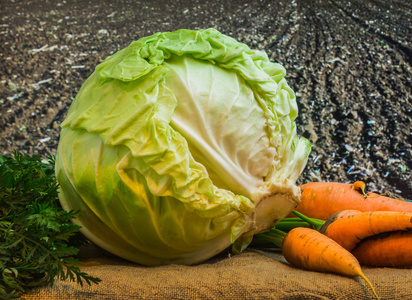 水果圆萝卜新鲜的圆白菜和胡萝卜照片