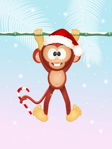 一只猴子，圣诞节