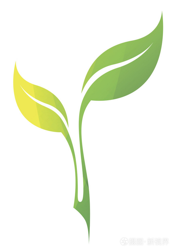 矢量风格化的春天绿色树叶孤立的剪影
