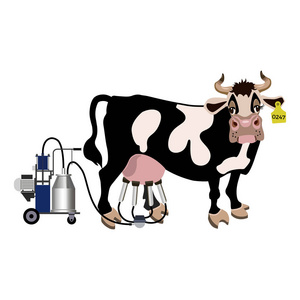 奶牛和挤奶机
