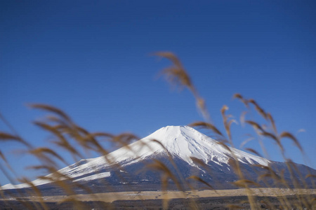 Yamanaka 湖积雪覆盖富士山