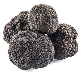 孤立在白色背景上的黑菌照片