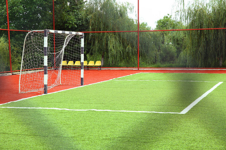 迷你橄榄球目标在人造草照片