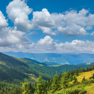 绿色山山谷全景