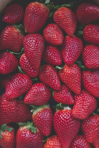 草莓在框中平躺