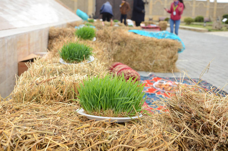 Novruz 国家阿塞拜疆节日春新年庆典的概念, 小麦草 semeni。在干草上的一条红丝带上的一个精围困
