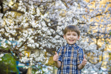 在春天的时候，附近树上微笑快乐 b 幼儿男孩