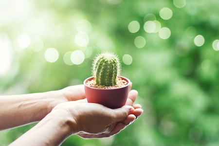 女人轻轻地对自然背景手里拿着一个小的仙人掌照片
