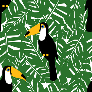 热带树叶的巨嘴鸟