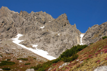 冰雪覆盖的岩石山坡风景景观