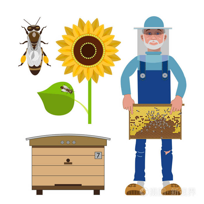 养蜂的矢量插图