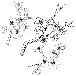 樱花花瓣纹身图片