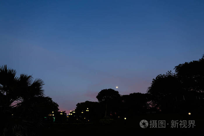 夜空和黑树剪影, 灯笼