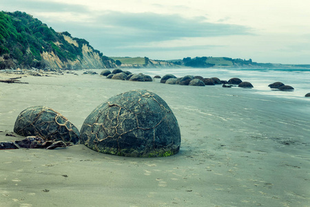 新西兰奥塔哥的海岸线上著名的球状莫埃拉基巨石