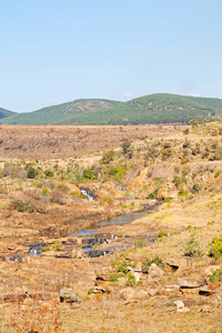 在南非河峡谷