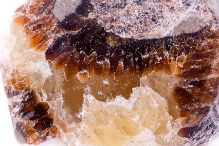 立法会在白色背景上宏观矿物为石钙铁的辉石照片