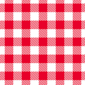 红色格子图案.矢量无缝纹理照片