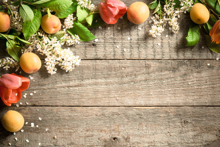 春天的花朵，杏的木制背景