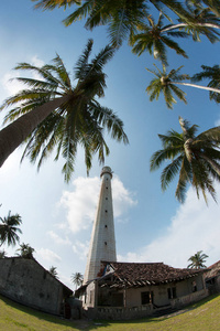 白色灯塔站在一个岛上，一些绿色的棕榈树
