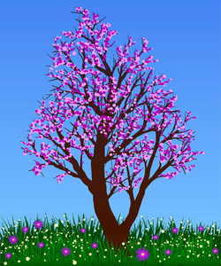 春天。在蓝天的衬托鲜花草地上棵开花的树
