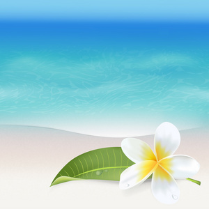 现实的海面背景。热带花卉。海滩背景