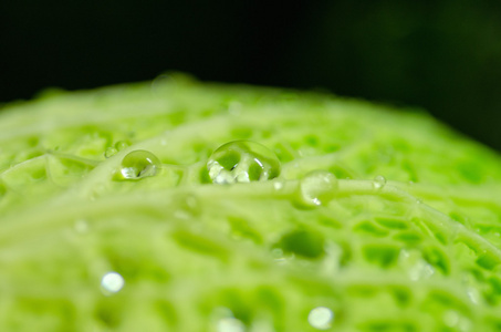 特写的白菜用水叶滴宏观抽象的详细背景