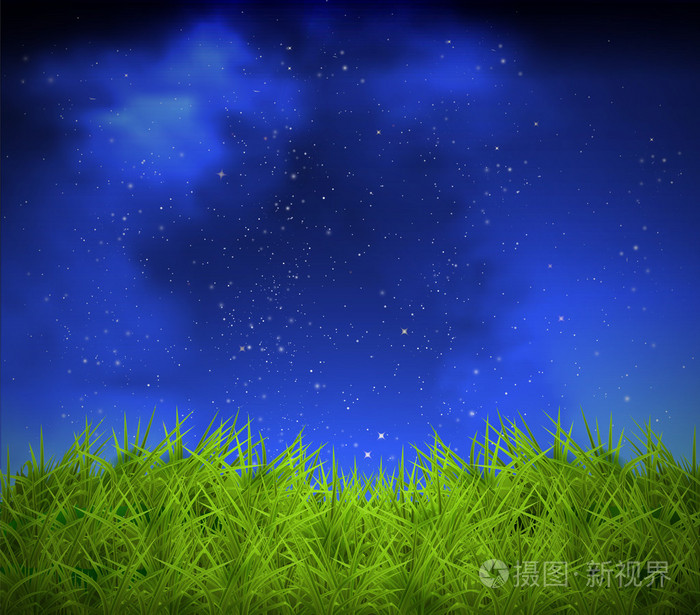 在夜晚的星空背景上草