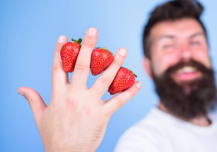 尽管甜口味浆果包含零糖。人胡子时髦草莓在手指蓝色背景之间。草莓富含维他命 C 纤维抗氧化剂。草莓的营养效益