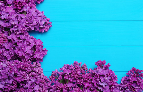 淡紫色的花，在蓝色木背景