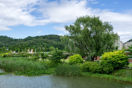 韩国首尔 Pureun 植物园 hangdong 水库公园